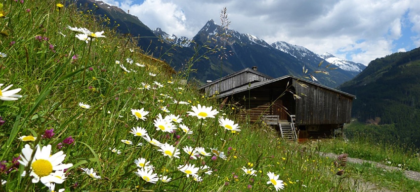 Vorarlberg